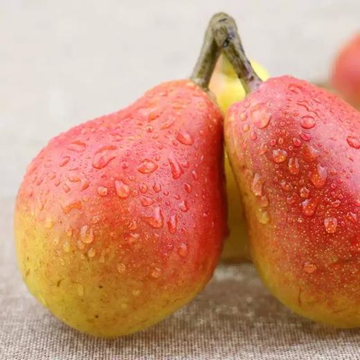 【南非进口彩梨】5粒装，个头较大，口感更甜，熟软后更好吃。 商品图3