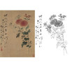 恽寿平没骨花鸟白描底稿-斗方小品册页-SP61 商品缩略图0