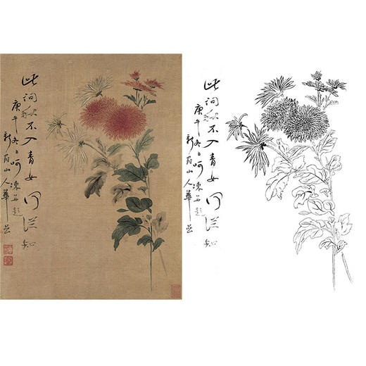 恽寿平没骨花鸟白描底稿-斗方小品册页-SP61 商品图0