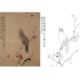 恽寿平没骨花鸟白描底稿-斗方小品册页-SP64