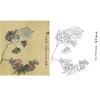 恽寿平没骨花鸟白描底稿-斗方小品册页-SP52 商品缩略图0