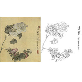 恽寿平没骨花鸟白描底稿-斗方小品册页-SP52