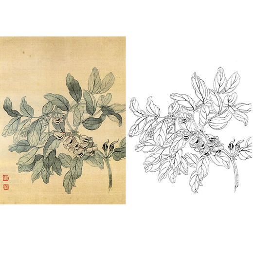 恽寿平没骨花鸟白描底稿-斗方小品册页-SP68 商品图0