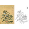 恽寿平没骨花鸟白描底稿-斗方小品册页-SP75 商品缩略图0