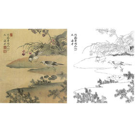 恽寿平没骨花鸟白描底稿-斗方小品册页-SP54