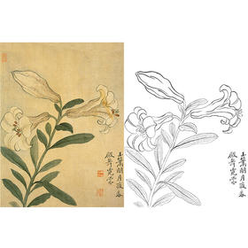 恽寿平没骨花鸟白描底稿-斗方小品册页-SP78