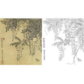 恽寿平没骨花鸟白描底稿-斗方小品册页-SP56