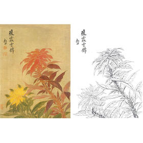 恽寿平没骨花鸟白描底稿-斗方小品册页-SP84