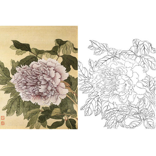 恽寿平没骨花鸟白描底稿-斗方小品册页-SP73 商品图0