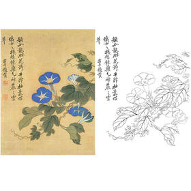 恽寿平没骨花鸟白描底稿-斗方小品册页-SP77