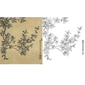 恽寿平没骨花鸟白描底稿-斗方小品册页-SP53