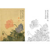 恽寿平没骨花鸟白描底稿-斗方小品册页-SP83 商品缩略图0