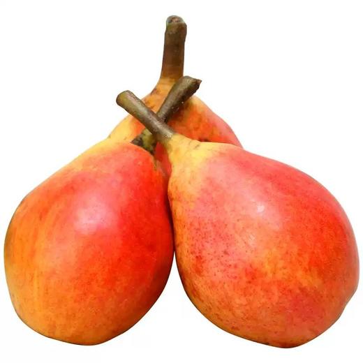 【南非进口彩梨】5粒装，个头较大，口感更甜，熟软后更好吃。 商品图5