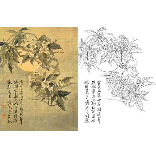 恽寿平没骨花鸟白描底稿-斗方小品册页-SP82 商品图0