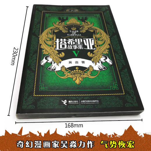 萌芽书系 塔希里亚故事集Ⅴ 第5册 中国原创奇幻漫画先锋 吴淼著 马伯庸倾情作序 《龙枪编年史》中文简体版插图作者吴淼的鸿篇巨制 黑白剪影世界的魔法传奇 震撼人心的哲理寓言 启迪心灵的智慧阅读 商品图3