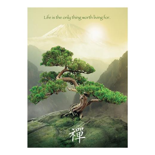 Ravensburger拼图 平面拼图1000片禅之树RAVC193899 商品图1