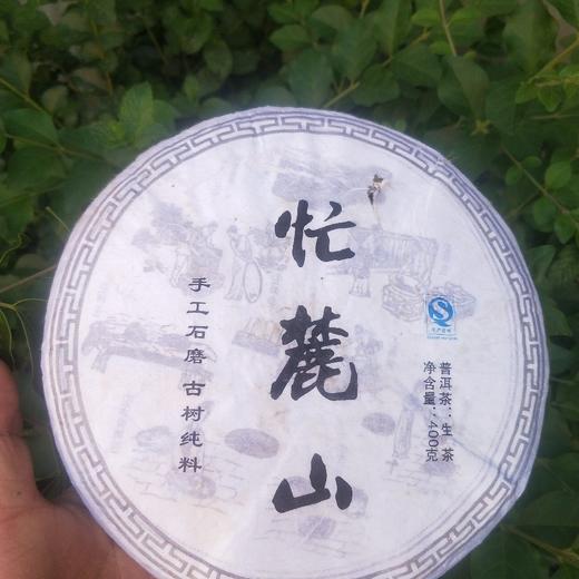 A级单采古树茶-2016邦东料昔归忙麓山400克大饼 商品图0