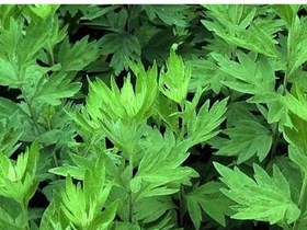 输卵管堵塞是怎么引起的？测试