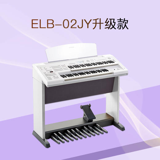 ELB-02JY（玖月定制款） 商品图0
