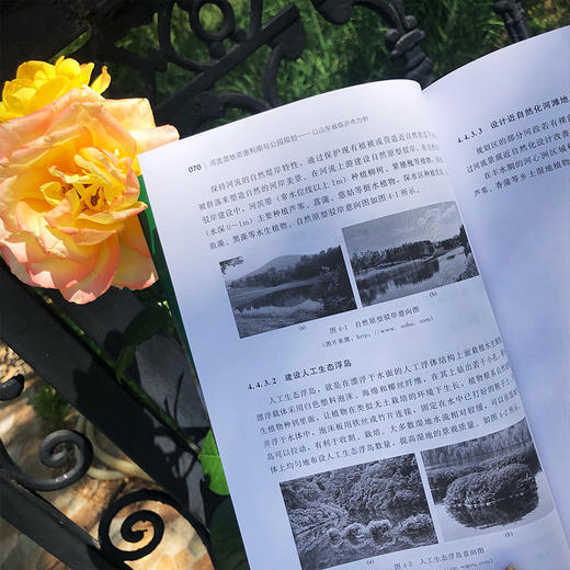 河流湿地资源利用与公园规划——以山东省临沂市为例 商品图1