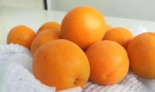 炸街 小黄杏 500克 汁多味甜 商品图0