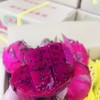 蜜宝火龙果    富含花青素，肠道清道夫~ 商品缩略图0