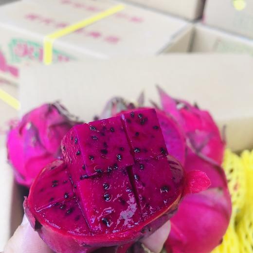 蜜宝火龙果    富含花青素，肠道清道夫~ 商品图0