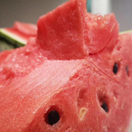 新疆吐鲁番金城大西瓜 10公斤左右（一个装） 商品图7