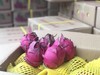 蜜宝火龙果    富含花青素，肠道清道夫~ 商品缩略图2