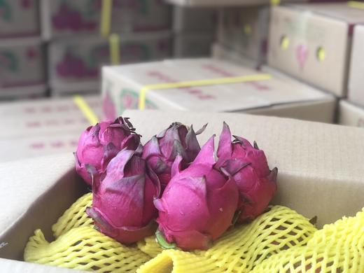 蜜宝火龙果    富含花青素，肠道清道夫~ 商品图2