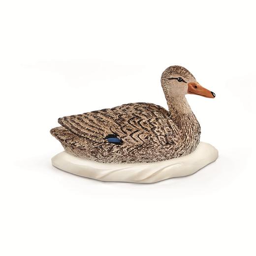 思乐母鸭13823 商品图0