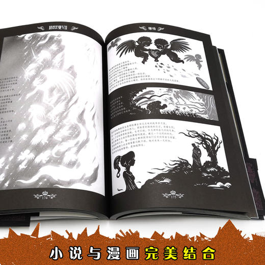 塔希里亚故事集Ⅶ 中国原创奇幻漫画先锋 吴淼著 马伯庸倾情作序 《龙枪编年史》中文简体版插图作者吴淼的鸿篇巨制 黑白剪影世界的魔法传奇 震撼人心的哲理寓言 启迪心灵的智慧阅读 商品图9