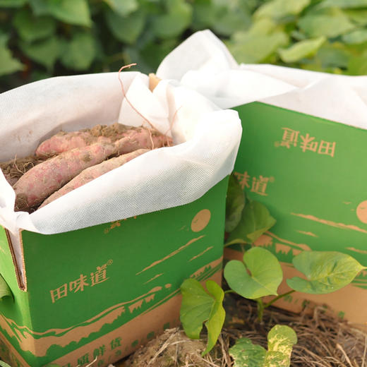 优选 | 杭州临安天目山小香薯  粉糯香甜 皮薄如纸 无茎无丝 现挖现发5斤装 商品图3