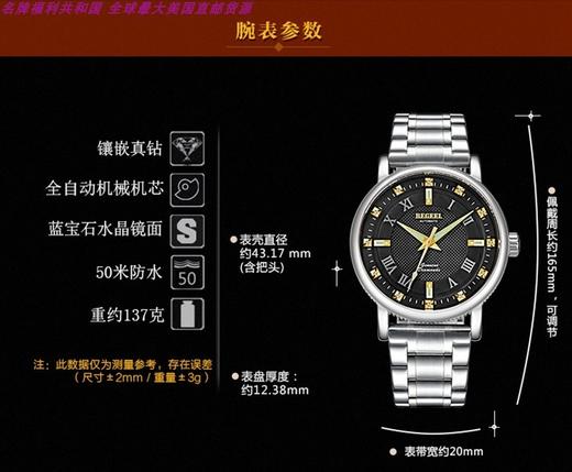 BEGEEL/宾爵 精钢表带 全自动男士机械表 B72302MJPY带授权招加盟代理 商品图0