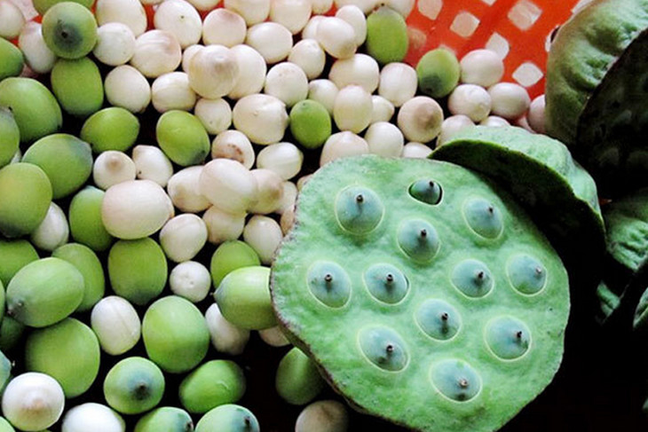 江西手工广昌白莲| 入口清甜软糯,安心养神,调养脾胃!