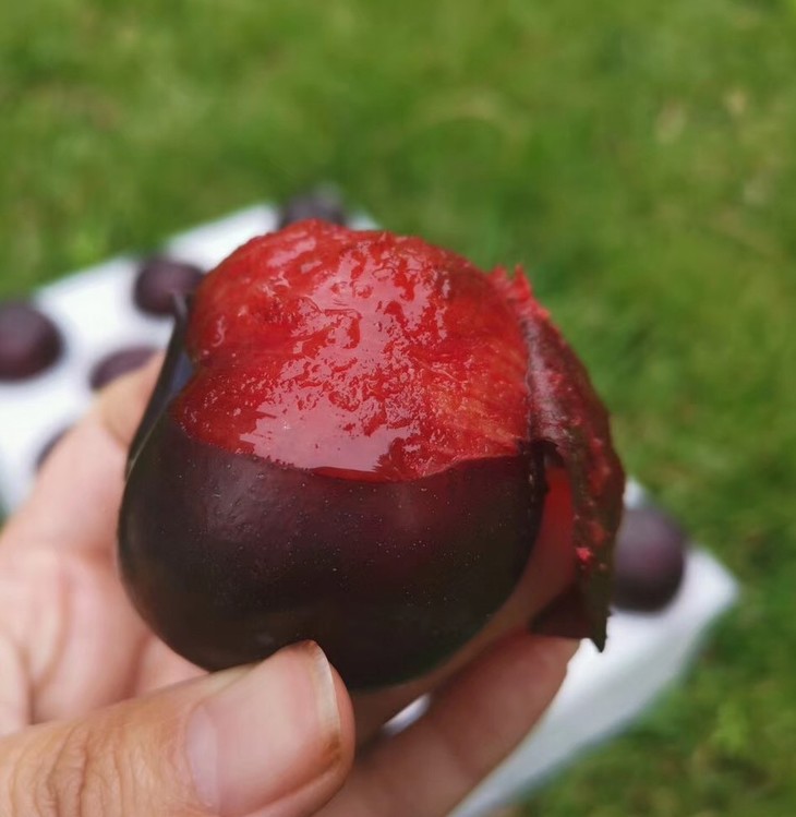 李子中的皇冠红宝石鸡血李皮薄肉嫩香甜多汁稀缺品种现摘包邮