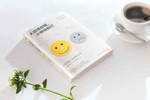 大道理都懂，小情绪难控 商品图0