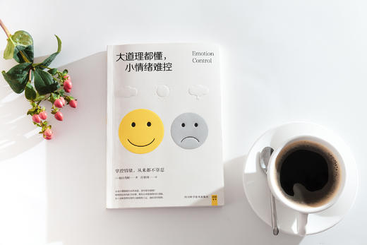 大道理都懂，小情绪难控 商品图1