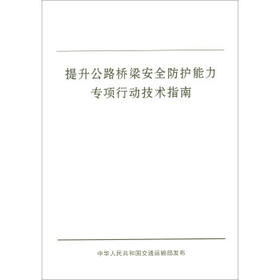 提升公路桥梁安全防护能力专项行动技术指南