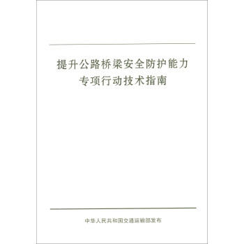 提升公路桥梁安全防护能力专项行动技术指南 商品图0