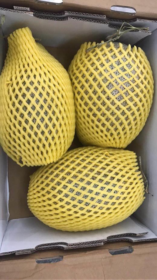 新丝路晓蜜瓜3颗装约14斤左右