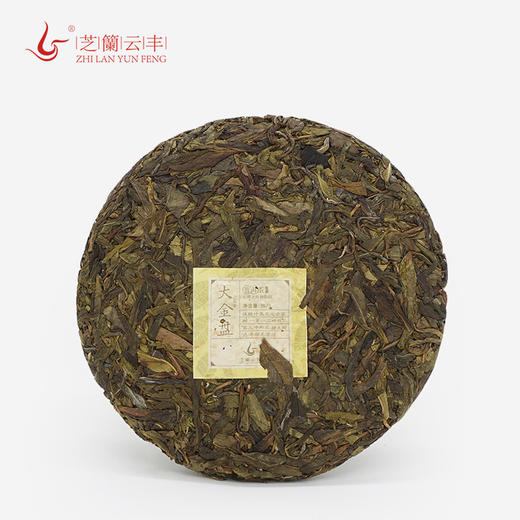 2019大金盘 （古树黄片）357克 商品图4