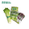 四季绿蔬菜礼盒 商品缩略图1