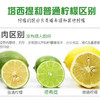 塔西提无籽香水柠檬 3斤装 商品缩略图12