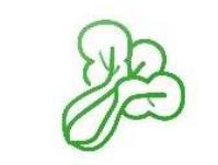 维生素 商品图0