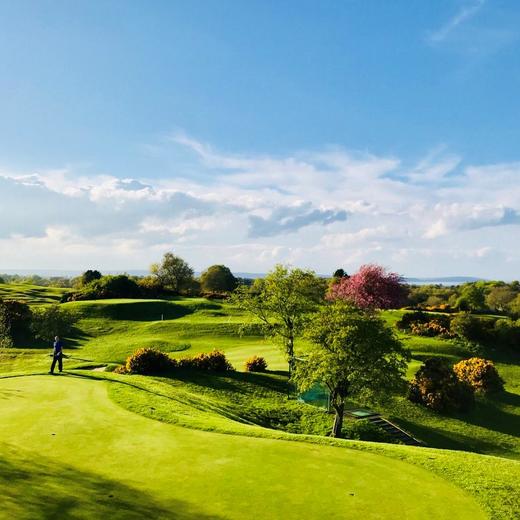 克兰德博伊高尔夫俱乐部 Clandeboye Golf Club | 英国高尔夫球场/俱乐部 | 北爱尔兰 | 欧洲高尔夫 商品图2