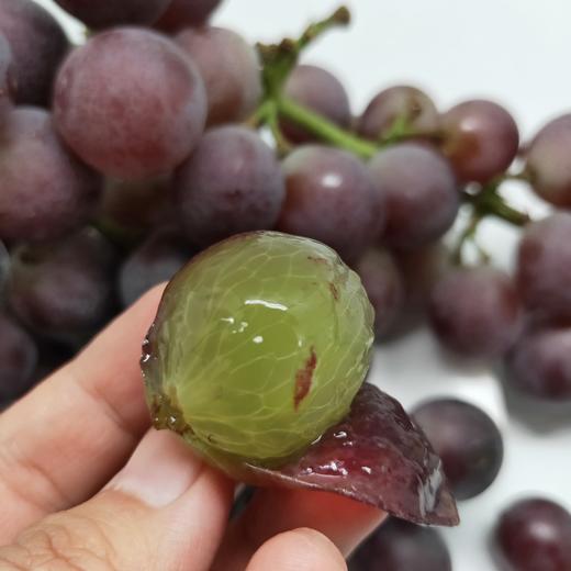 巨峰葡萄 |(7.99元/斤)