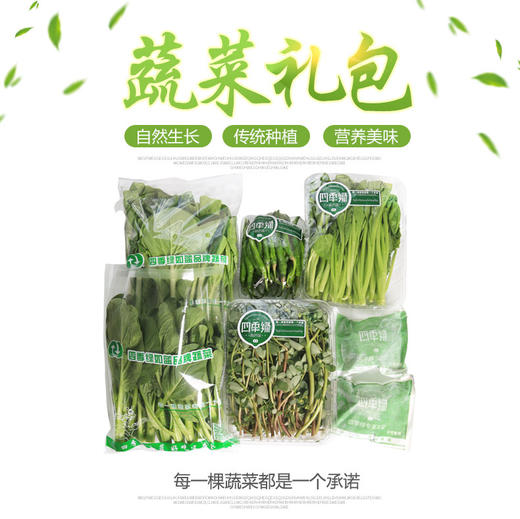 四季绿蔬菜礼盒 商品图2