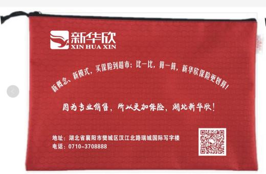 SX保单袋 商品图1