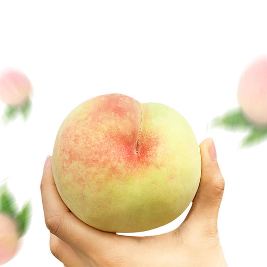 【会员尝鲜预售优惠】优选正宗阳山水蜜桃 4只 礼盒装 商品图2